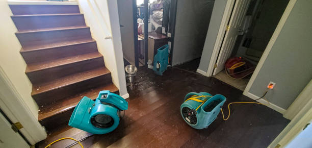 Water damage restoration experts in OH