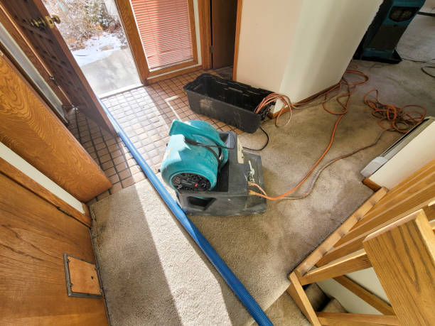 Best Ceiling water damage repair  in Jnstown, OH