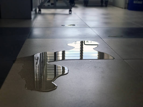 Best Local water damage restoration  in Jnstown, OH