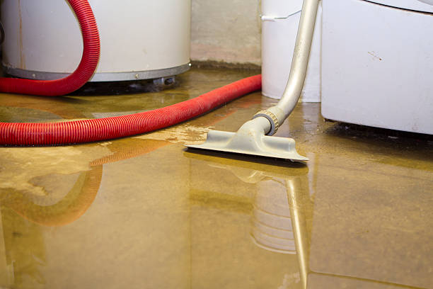 Best Flooded house restoration  in Jnstown, OH